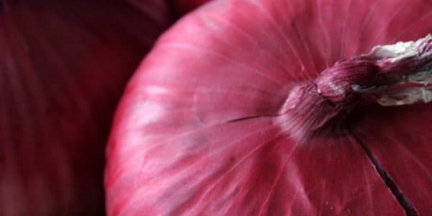 Prepoznatljive karakteristike plavog luka